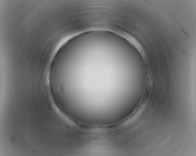 X0000113890958200910151332