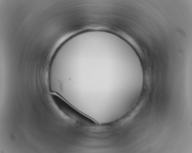 X0000113890959200910151332