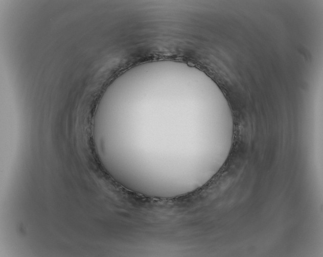X0000113890961200910151331
