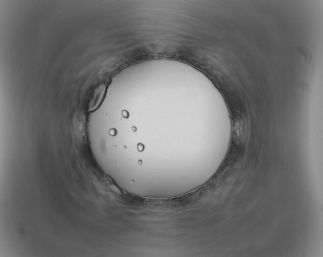 X0000113890963200910151331