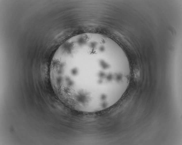 X0000113890964200910151331
