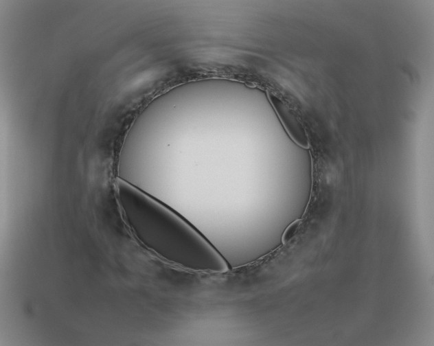 X0000113890965200910151331