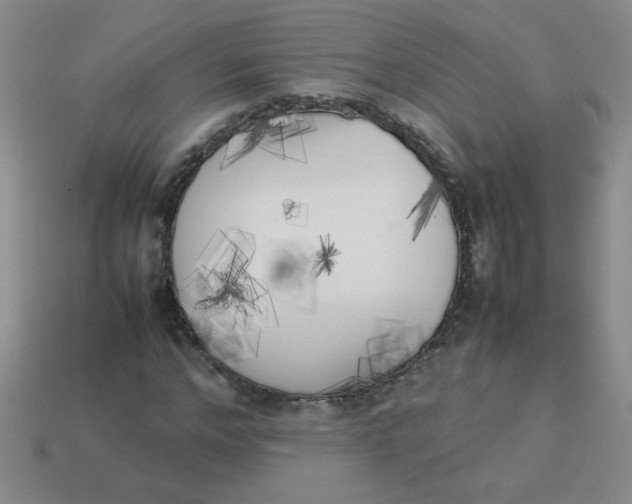 X0000113890968200910151331