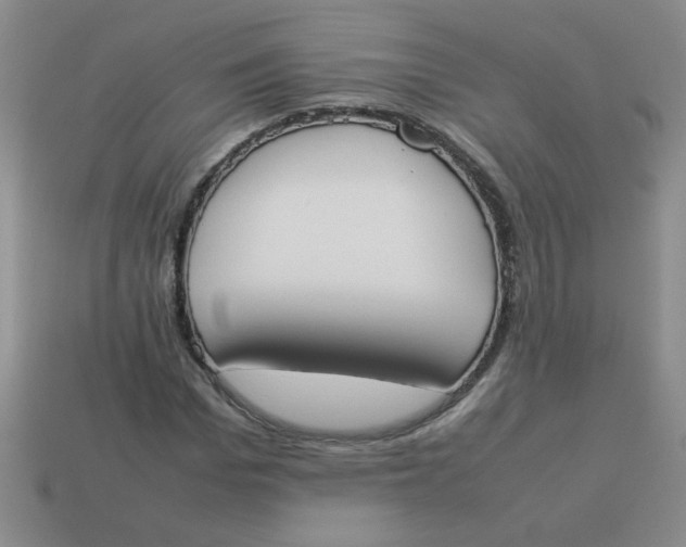 X0000113890969200910151331