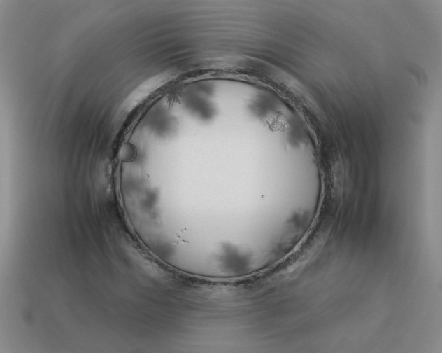 X0000113890970200910151331