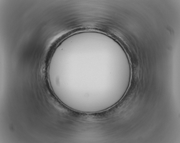 X0000113890971200910151331