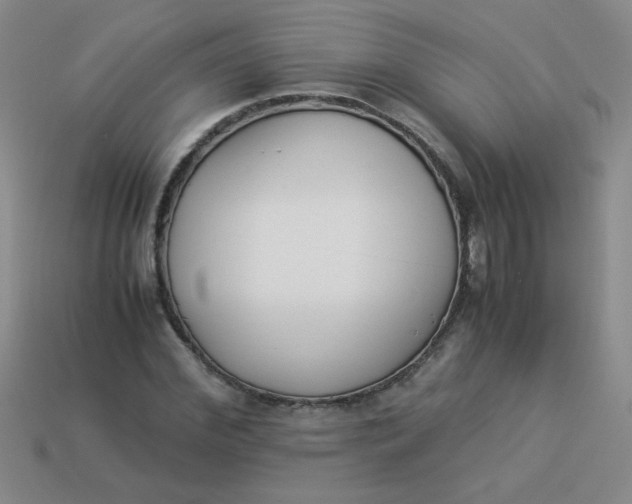 X0000113890972200910151331