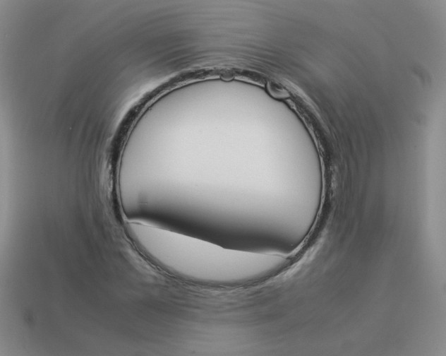 X0000113890973200910151331