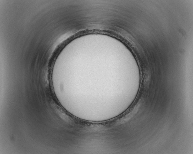 X0000113890974200910151331