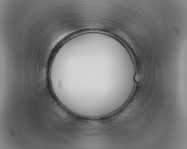 X0000113890975200910151331