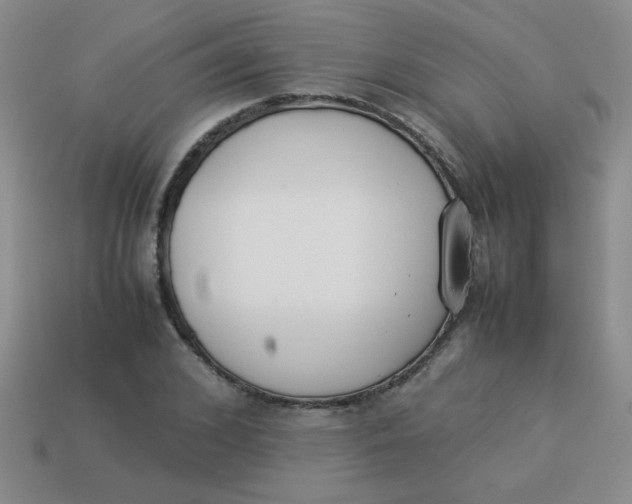 X0000113890976200910151331