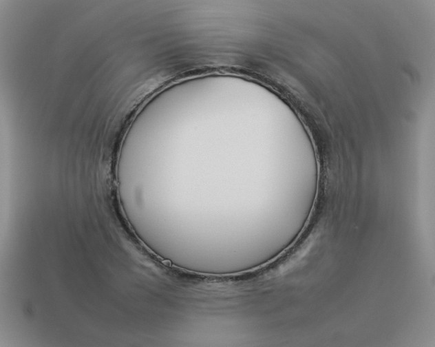 X0000113890977200910151331