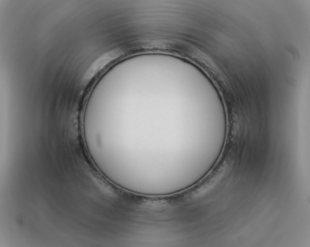 X0000113890978200910151331