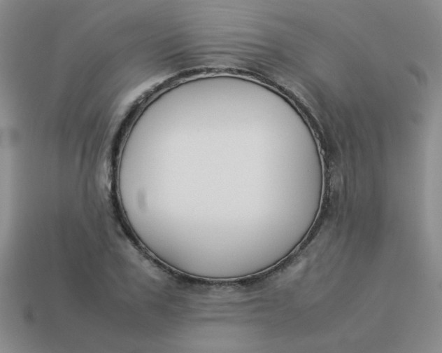 X0000113890979200910151331