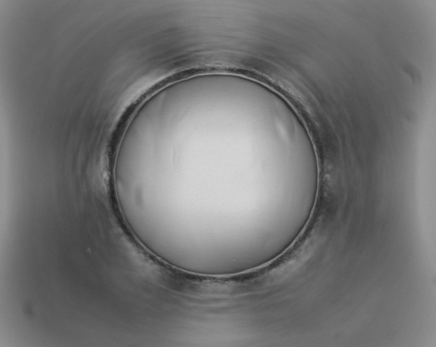 X0000113890981200910151331