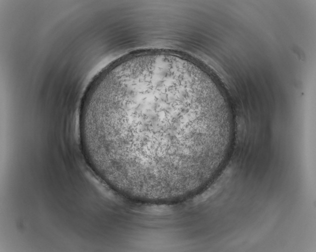 X0000113890982200910151331