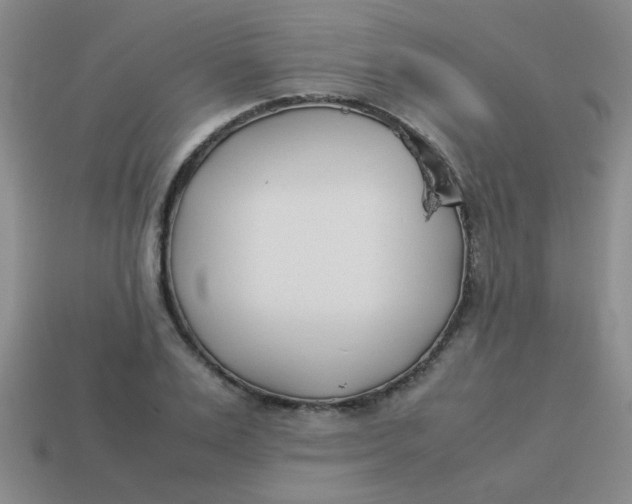 X0000113890983200910151331