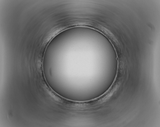 X0000113890985200910151331