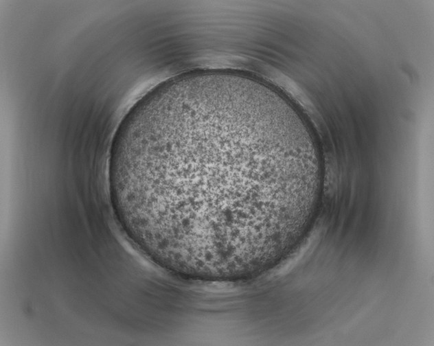 X0000113890986200910151331