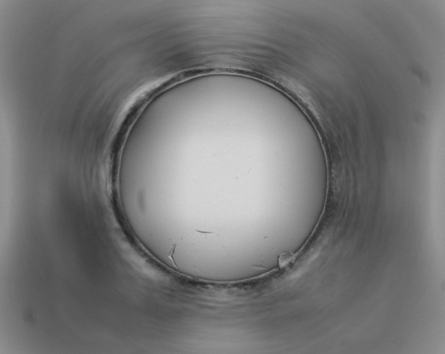 X0000113890987200910151331