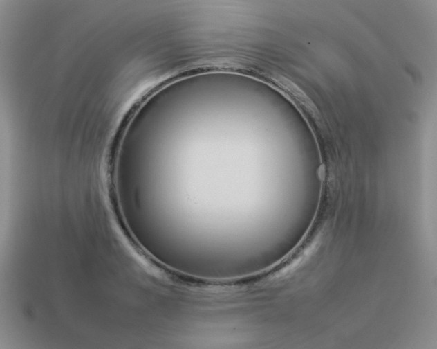 X0000113890989200910151331