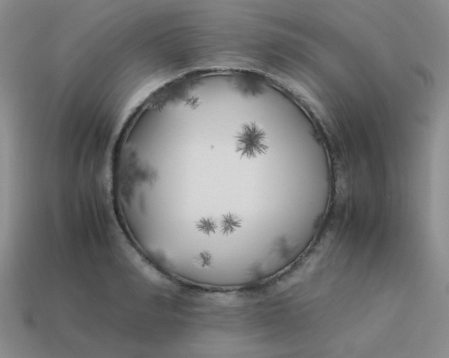 X0000113890990200910151331