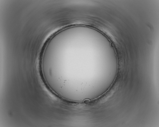 X0000113890991200910151331