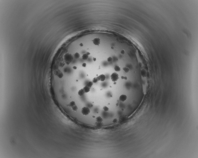 X0000113890992200910151331