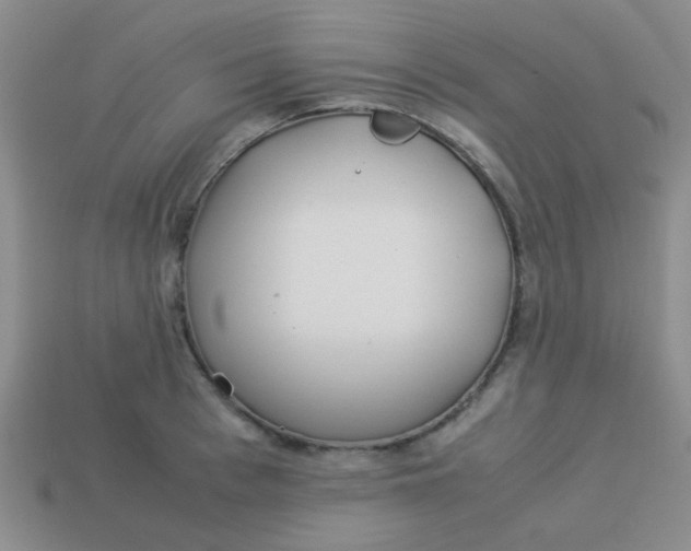X0000113890993200910151331