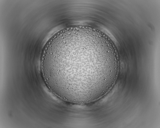 X0000113890994200910151331