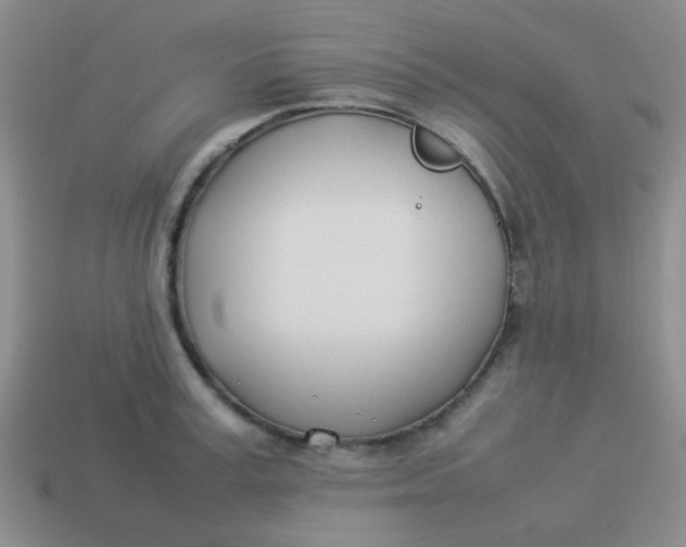 X0000113890995200910151331