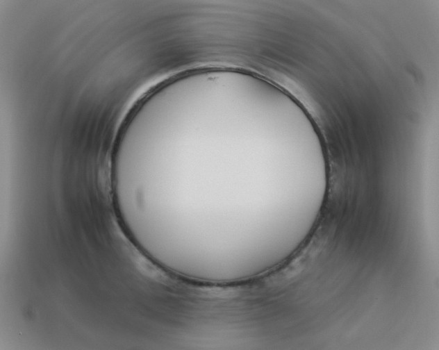 X0000113890996200910151331