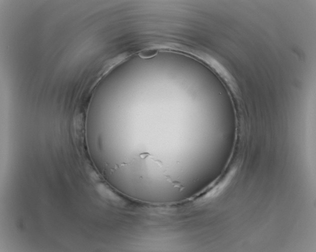 X0000113891001200910151331