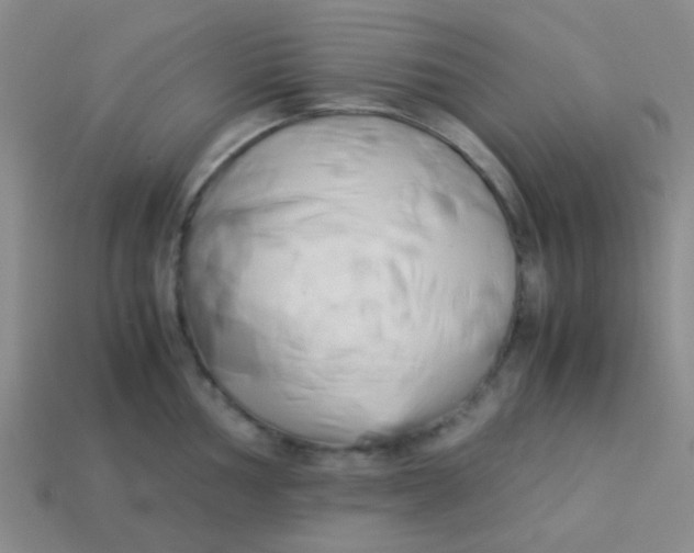 X0000113891002200910151331
