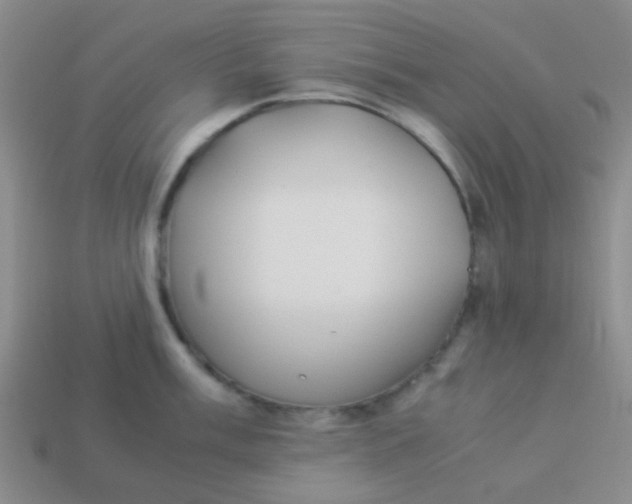 X0000113891003200910151331