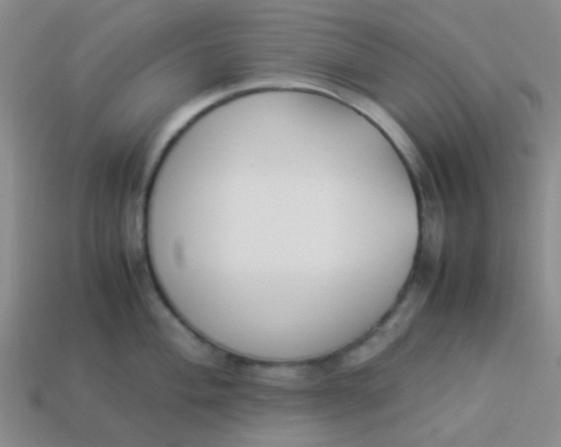 X0000113891004200910151331