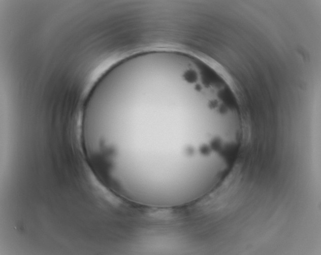 X0000113891006200910151331