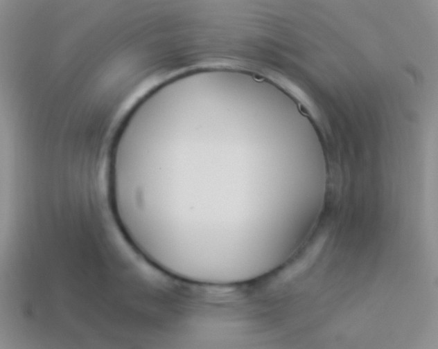 X0000113891007200910151331
