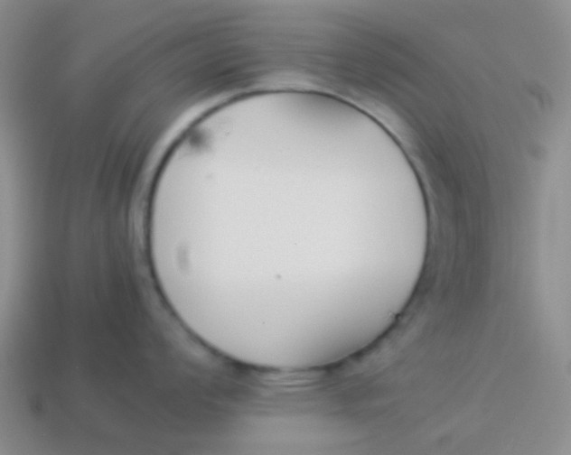 X0000113891008200910151330