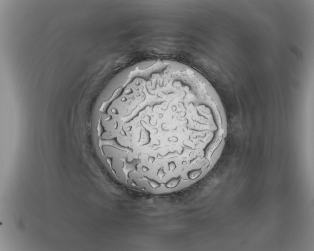 X0000113891009200910151330