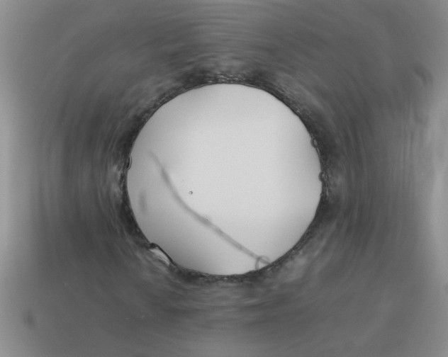 X0000113891010200910151330