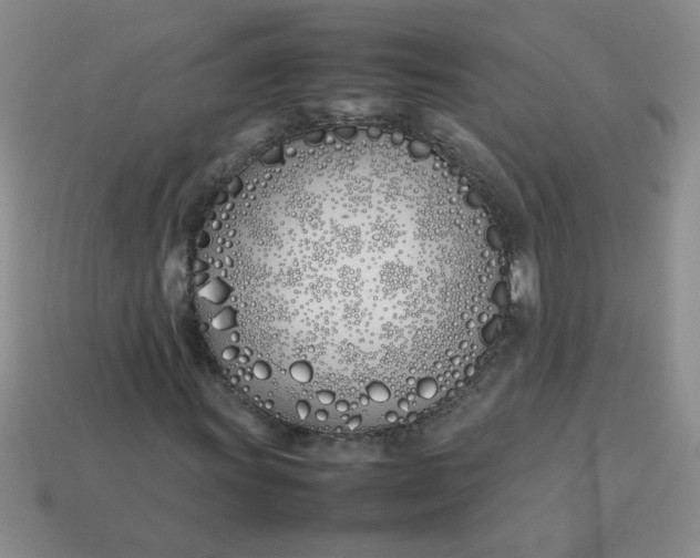 X0000113891011200910151330