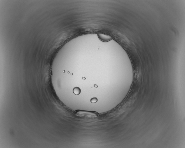 X0000113891012200910151330