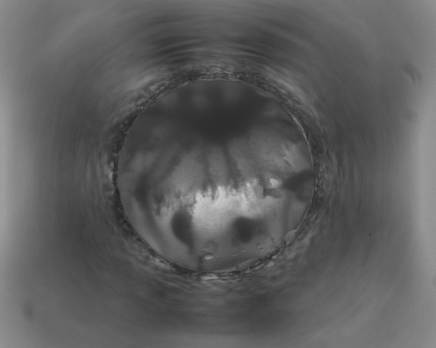 X0000113891013200910151330