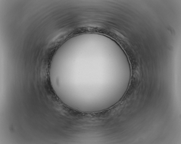 X0000113891014200910151330