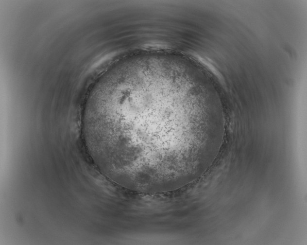 X0000113891015200910151330