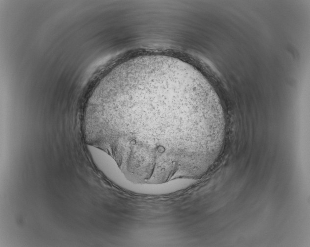 X0000113891016200910151330