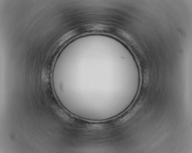 X0000113891017200910151330