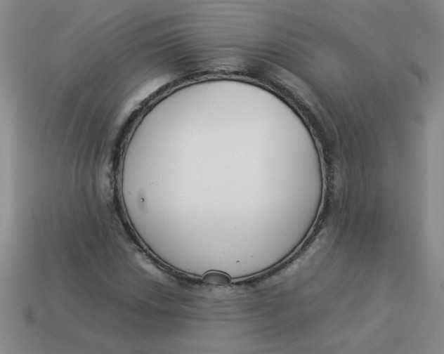 X0000113891018200910151330