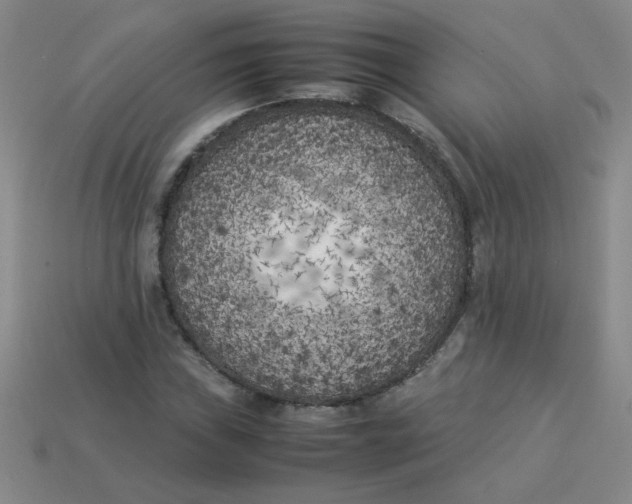 X0000113891019200910151330